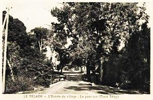 TELAGH 24